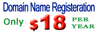 Domain Name Registeration